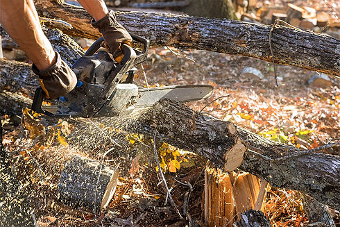 Chainsaw-maintenance-crosscut-fell-courses.jpg