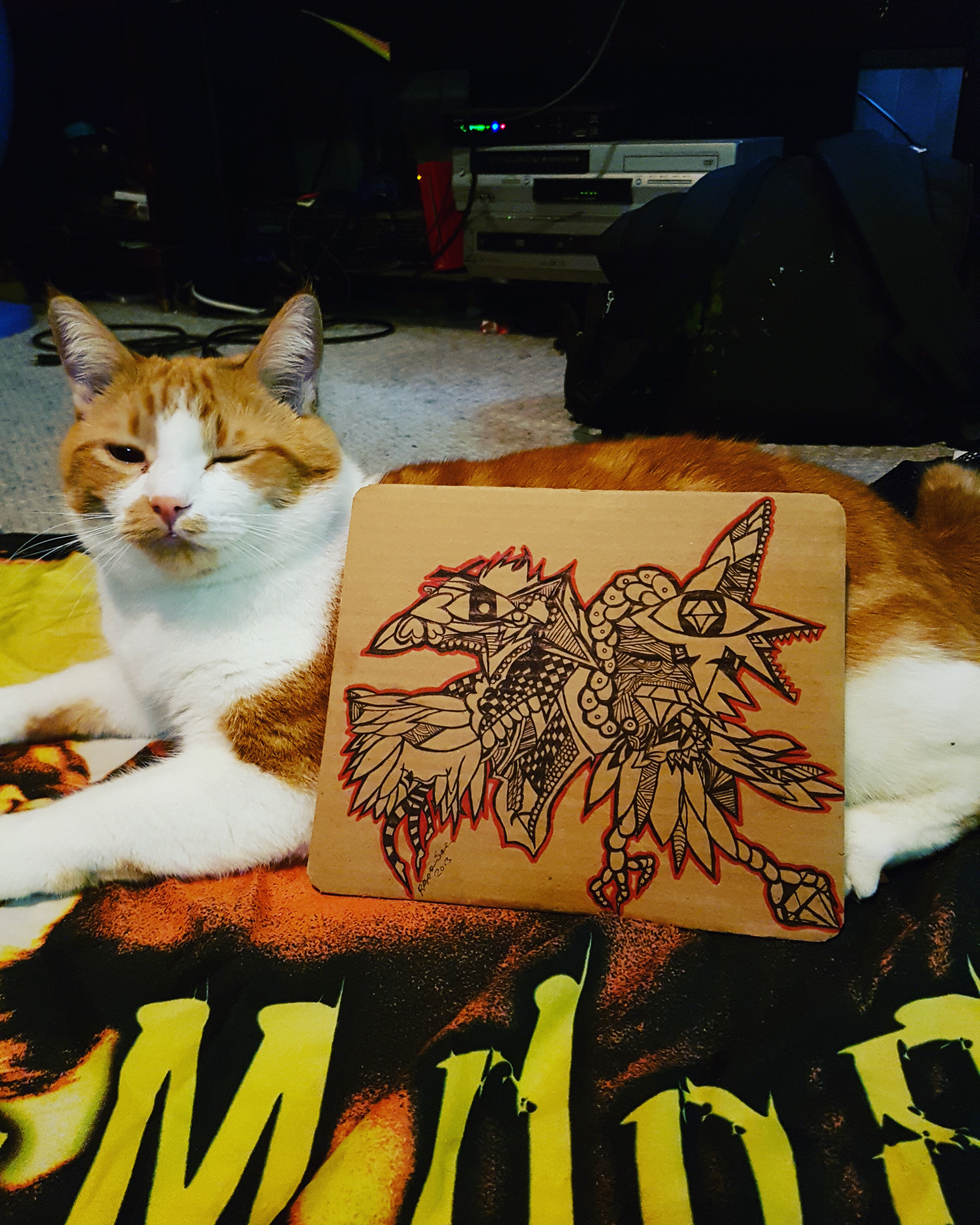Cat approved art