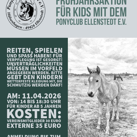 🌷🐴 Frühjahrsaktion beim Ponyclub Ellenstedt 🐴🌷