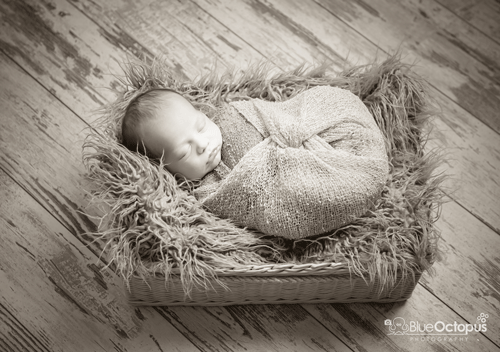 AdobeStock_132450372
