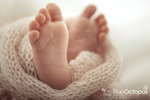 AdobeStock_78875457
