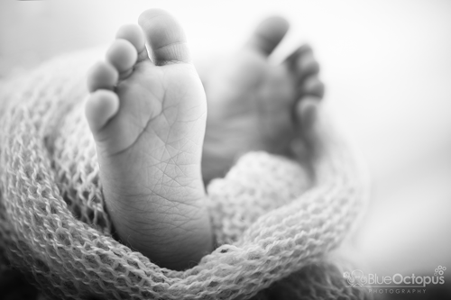 AdobeStock_78875457-2