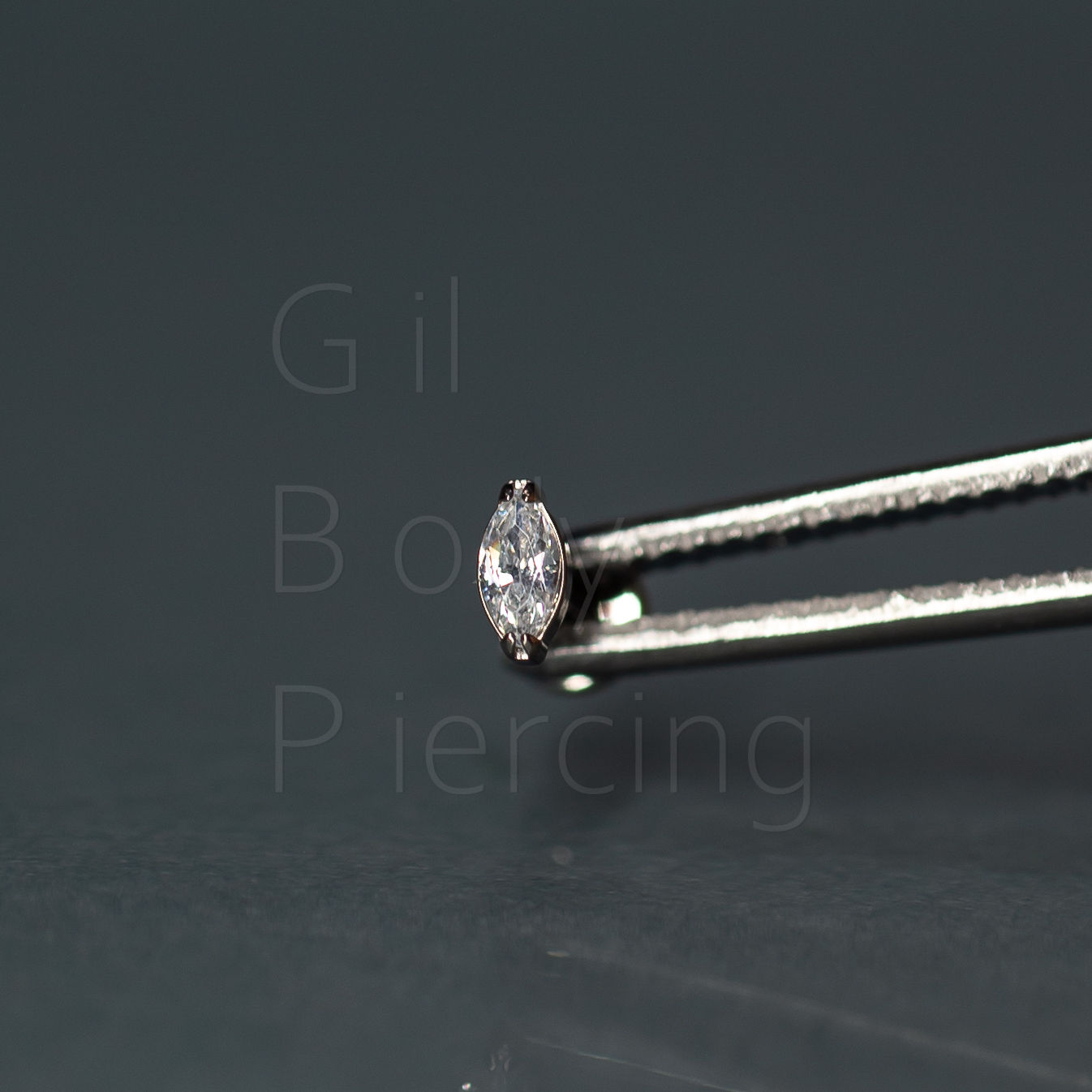 navete tragus helix scapha flat conch lobulo medusa A015