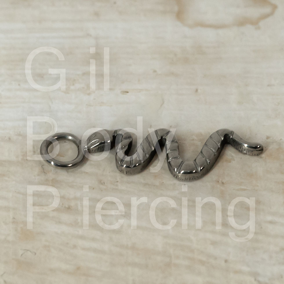 Miniatura: pingente serpente  M025