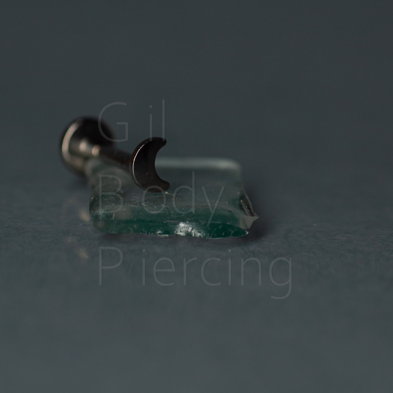 lua tragus helix conch lobulo medusa scapha/flat nostril I008