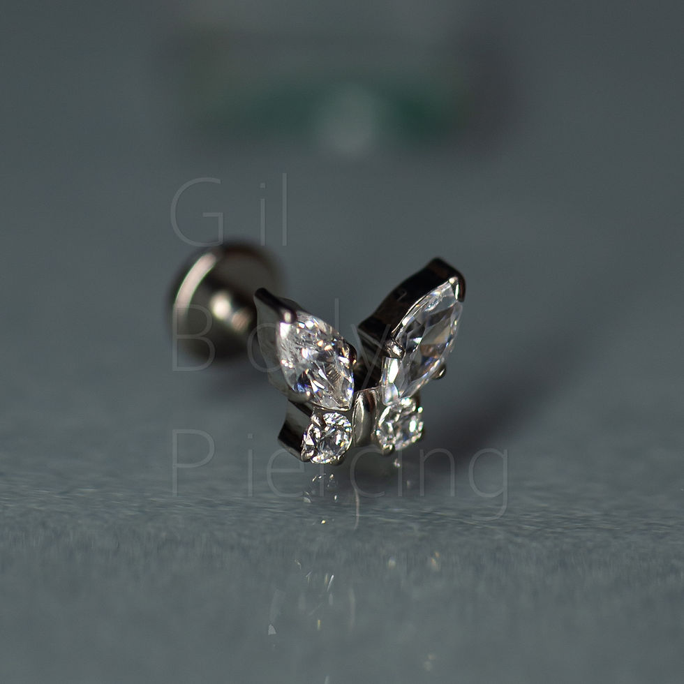 Miniatura: borboleta tragus helix scapha/flat lobulo medusa A014