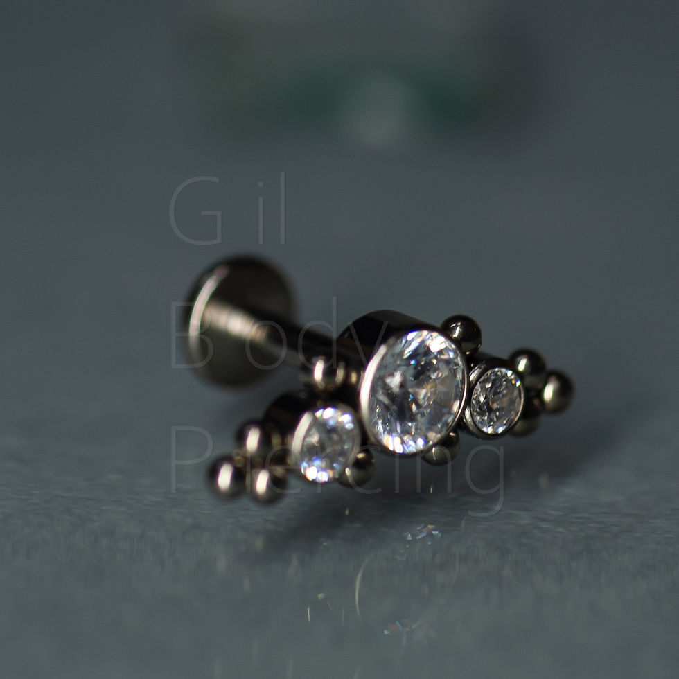 Miniatura: cluster modelo indiano conch lobulo scapha flat helix D004