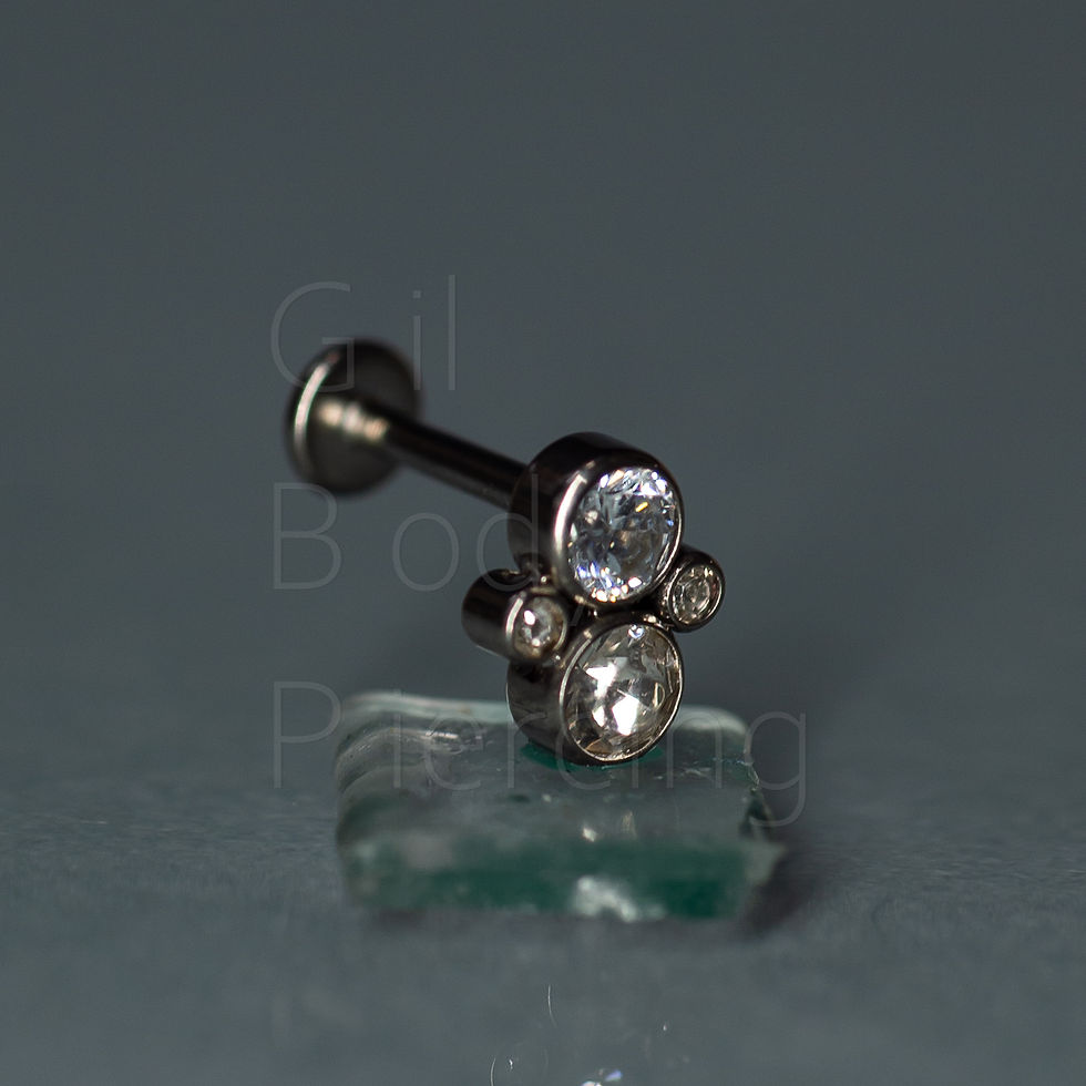 Miniatura: tragus helix conch scapha/flat lobulo 007