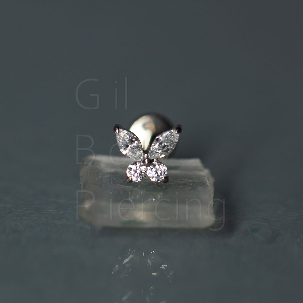 Miniatura: mini borboleta tragus helix conch scapha/flat lobulo medusa A096