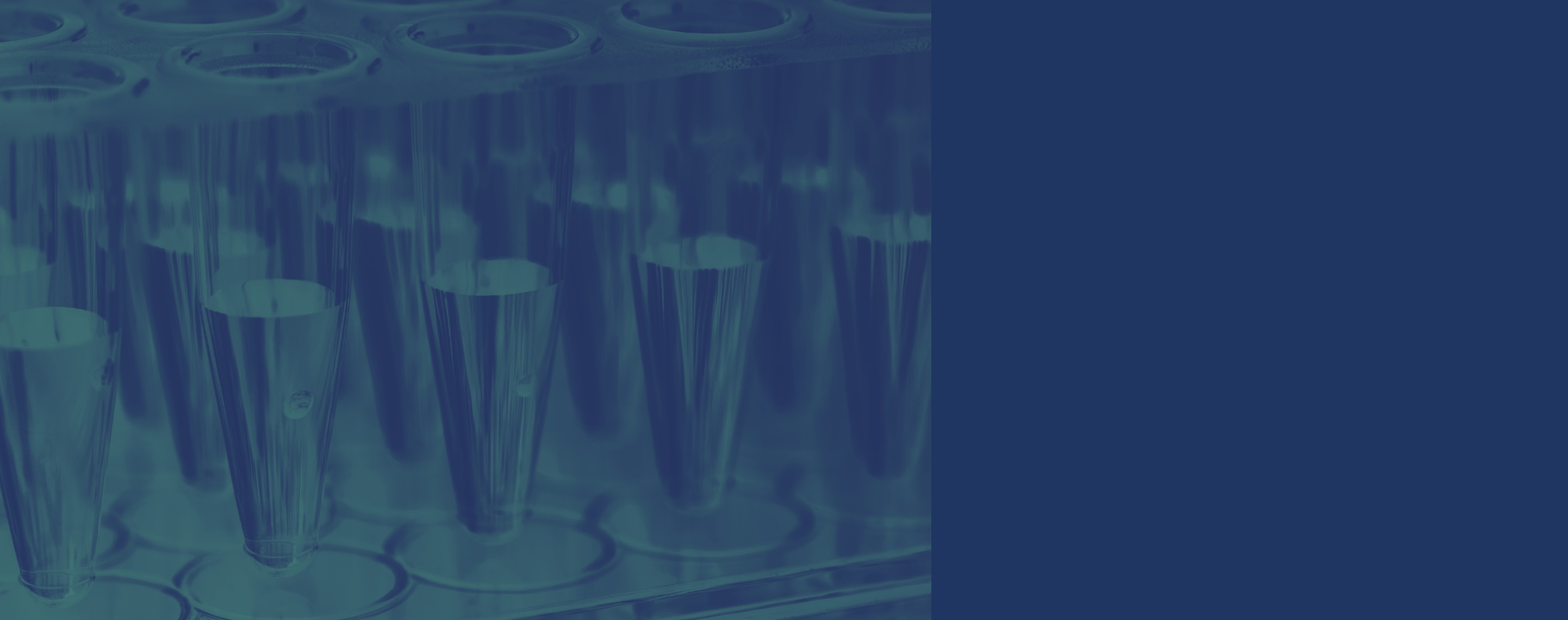 Consult Imagens Site.png