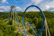Dollywood Commercial Shoot .webp