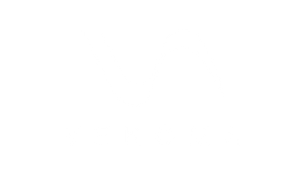 v.webp