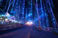 2020 Christmas Shoot At Dollywood