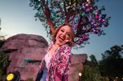 Dollywood Sweet Summer Nights .webp