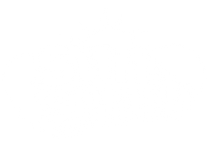 sun-logo.webp