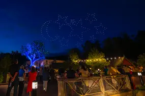 Dollywood Summer Shoot  2021
