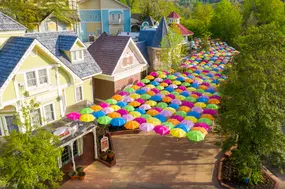 Dollywood Spring Shoot