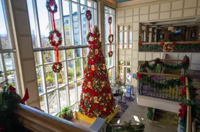 Dreammore Resort Christmas Shoot