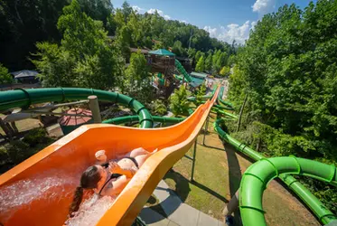 Splash Country Shoot