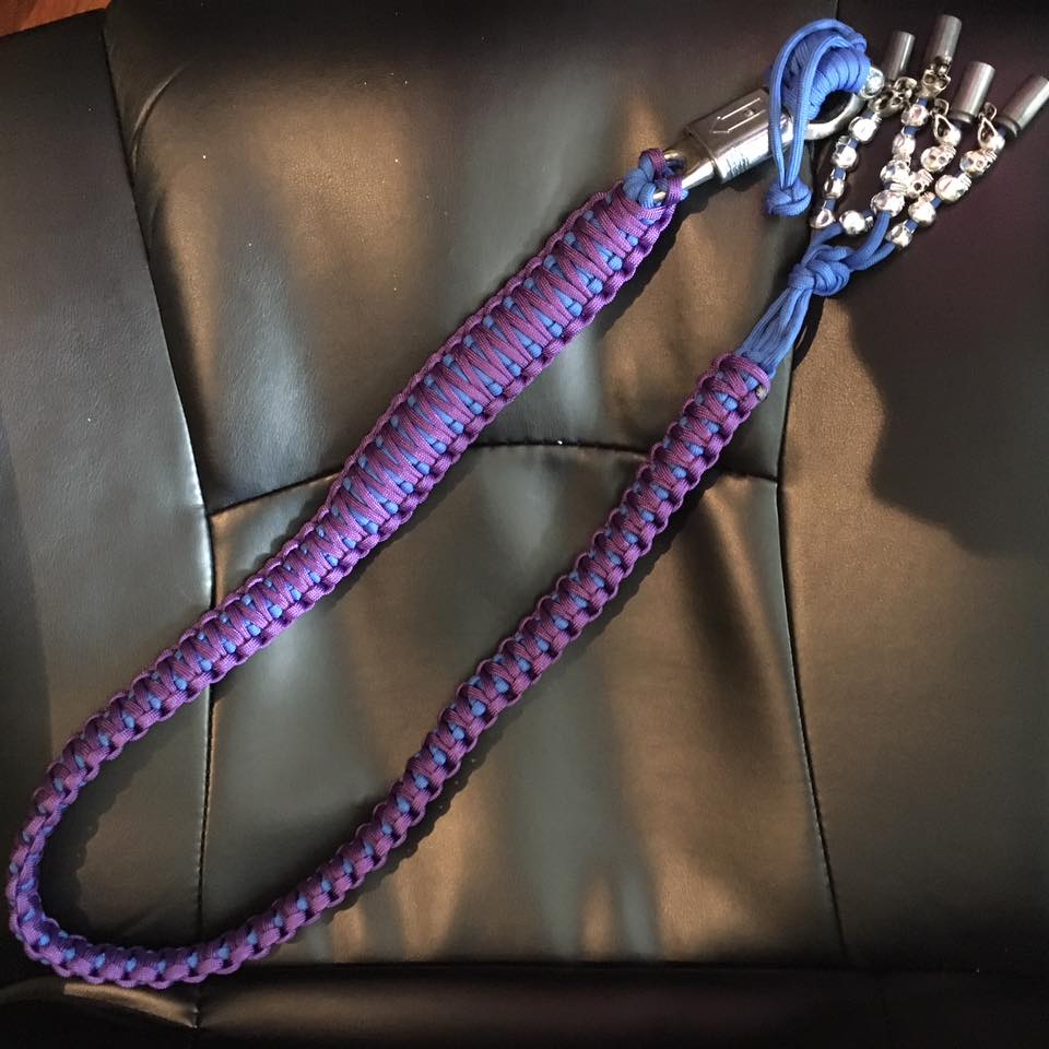 Custom Purple and Blue Bike Whip