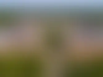 ONELAN: 150+ Displays, One Seamless Campus Experience