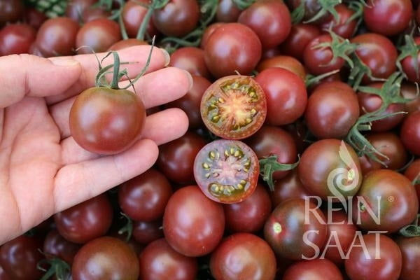 black-cherry 6,00€_kg