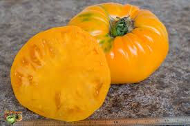 tomate orange ancienne 5,00/kg