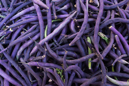 haricot vert( purple queen) 8,00/kg