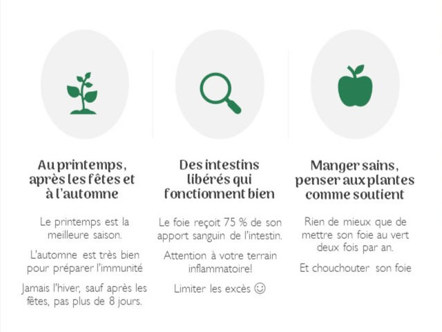 Conseils détox pour bien nettoyer son foie