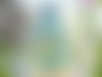 Détox métaux lourds : ce qu'il faut vraiment savoir 🌿