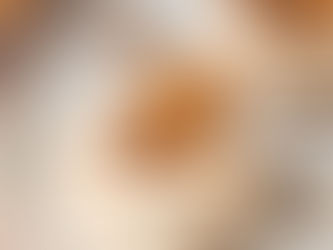 Cheesecakes speculoos sans cuisson- ultra facile au TM7