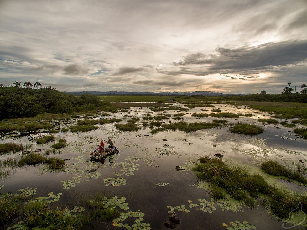 PROJET DE RECHERCHE "CROC"