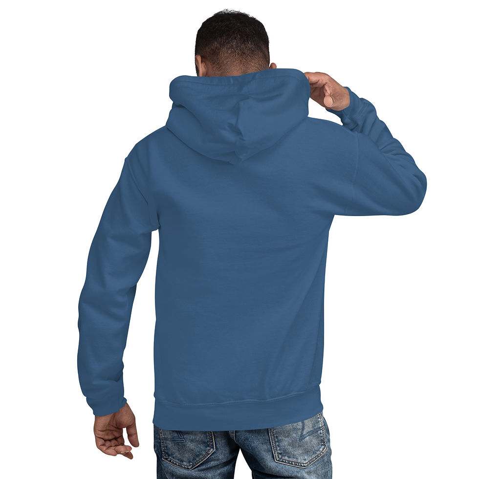 Thumbnail: No Heroes or Villains Hoodie