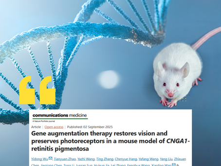 Terapia gênica restaura a visão e preserva fotorreceptores em modelo murino de retinite pigmentosa CNGA1