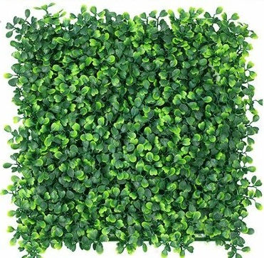 Thumbnail: Boxwood Green Wall - 10' x 10'