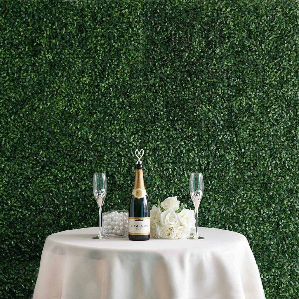 Boxwood Green Wall - 10' x 10'