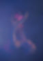 2023_06_03_Lea_Potthoff_Lulu_9937-min.jpeg