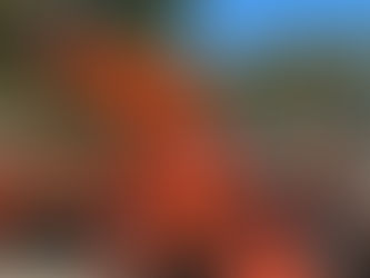 Safer Roads, Stronger Community:  Thanks to all of our volunteers 