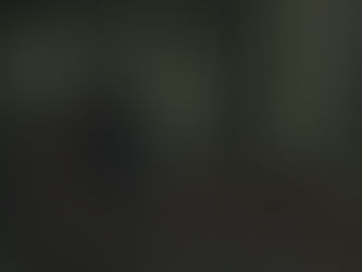 再投稿0512 04:30 2羽のアカショウビン