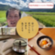 令和7年度産 美味しいコシヒカリ5kg （送料別)