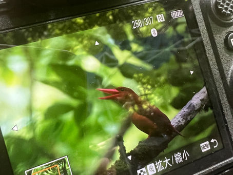 0622 速報！ 今日も元気な姿いただきました