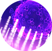 pathogens-03.png