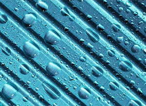 nanoel-img03.jpeg