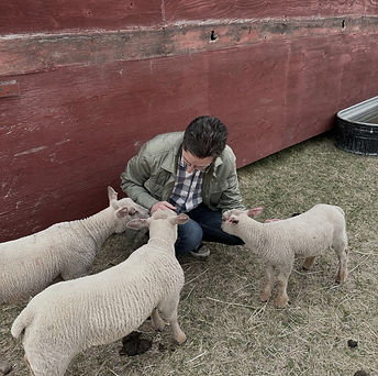 Aidan with Lambs_edited_edited.jpg