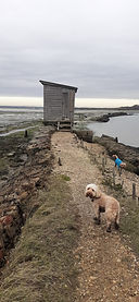 Newtown Creek