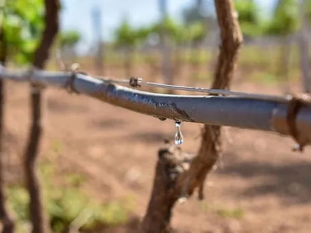 AGUASCALIENTES SE PREPARA PARA REDUCIR IMPACTO DE LA SEQUÍA