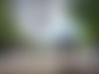 TÚNELES, BANDIDOS Y GIGANTES; ATRÉVETE A EXPLORAR LOS SECRETOS DEL CARACOL EN EL PARQUE EL CEDAZO