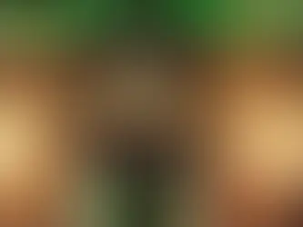 TERE JIMÉNEZ ENCABEZA LA CELEBRACIÓN DEL GRITO DE INDEPENDENCIA EN AGUASCALIENTES