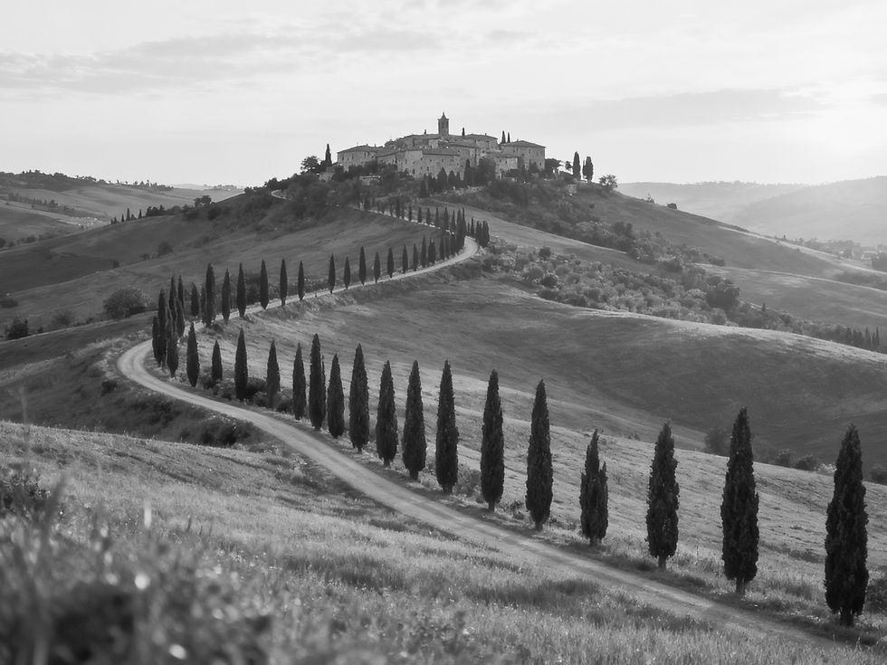 freepik__beautiful-italian-countryside-landscape-with-rolli__17314_edited.jpg