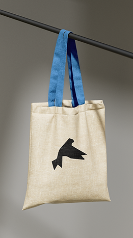 mriya_bag.png